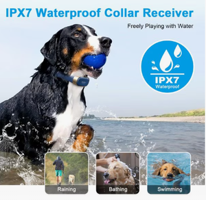 Clearance sonder angebot Wiederauf lad bares wasserdichtes elektrisches Hunde trainings halsband 3 sichere Modi (Beep PC Material) Fernbedienung - Product Image 6