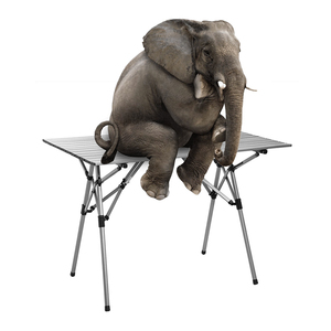 Offre Spéciale Voyage En Plein Air Portable Pliant En Aluminium Camp <span class=keywords><strong>Valise</strong></span> Pique-Nique <span class=keywords><strong>Table</strong></span> - Product Image 2