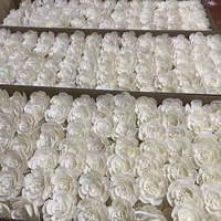 Diffuseur de fleurs en bois Sola, diffuseur de fleurs Sola personnalisé, fleurs en bois Sola en gros, bâtonnets diffuseurs avec fleurs