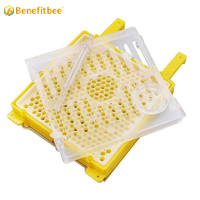 Apiculture Apiculteur Boîte d'élevage de reines d'abeilles Boîte d'élevage de reines d'abeilles