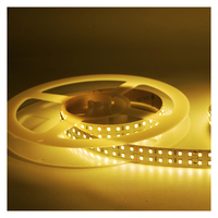 10m Ra80 IP20 haute lumen 240LED double rangées DC24V blanc chaud 2700k smd2835 bande flexible led