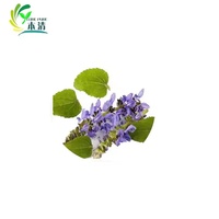 Extrait de plante naturelle de qualité alimentaire, extrait de Coleus Forskohlii en poudre, 10% de forskoline, certifié HPLC, fût de 25 kg, fourni par l'usine