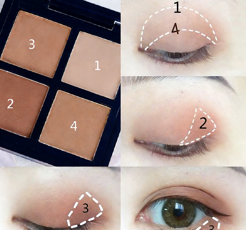 Kaki clair + pinceau fard à paupières