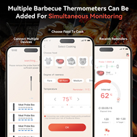 Termometer Daging Digital Nirkabel Mini Smart Single Probe Harga Clearance Dengan Aplikasi untuk Dapur Rumah Tangga