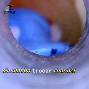 סימולטור ברכיים באיכות גבוהה בברך אורטופדיה - Product Image 4