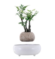 Mesa de interior ornamental, escritorio de oficina, maceta decorativa para bonsái flotante de hierbas poco profundas, artículos para el hogar, macetas para plantas