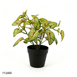 <span class=keywords><strong>ต้น</strong></span>คาลเลเดียมปลอม 5 กิ่ง ลายเส้นสีแดง พร้อมกระถางพลาสติก<span class=keywords><strong>สี</strong></span><span class=keywords><strong>ดำ</strong></span> ตกแต่งบ้าน - Product Image 5