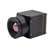 Module d'imagerie thermique pour drones FPV prêt à l'emploi avec double interface CVBS et USB-C disponible en résolution 256/384/640