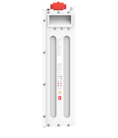 Batterie solaire murale Dyness DL5.0F 8000 cycles 5 kWh 51,2 V 100 Ah LiFePO4 pour stockage d'énergie domestique, compatible avec les onduleurs Deye/Solis