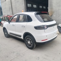 Véhicules électriques SUV EV haute performance, conduite à gauche, 4 roues motrices, longue autonomie et prix bas, nouvelle source d'énergie