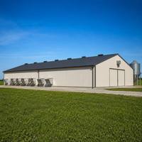Bâtiment avicole préfabriqué en structure métallique, poulailler automatique à grande échelle, ferme d'élevage à ossature métallique pour poulets de chair et pondeuses