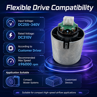 Moteur BLDC sans balais DC 310V haute vitesse 80000 tr/min pour sèche-cheveux Dyson et conduit d'air