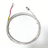 Sensor de Temperatura Industrial de Platino PT100 de Alta Precisión, Sonda Única, Sistema de 3 Cables, IP66, Acero Inoxidable
