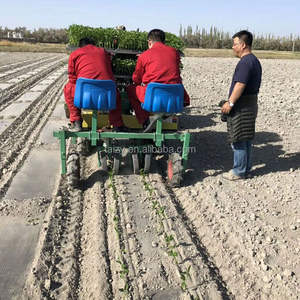 12 שורות בצל עגבניות כרוב שתיל עציץ השתלת מכונות עבור ירקות - Product Image 1