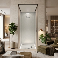 Ascenseurs de Villa à Traction en Acier Inoxydable Série Premium Système de Contrôle G12/G15 220V Design Moderne Personnalisable Garantie 2 Ans
