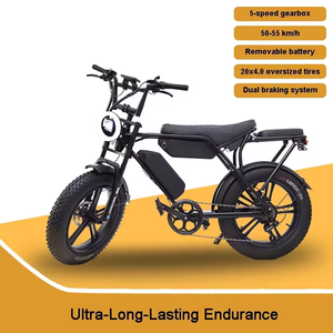 Vélo électrique WindChaser Stealth Bomber, batterie lithium 48V13/15Ah, moteur sans balais 500W, freins à disque avant/arrière, Rower - Product Image 2