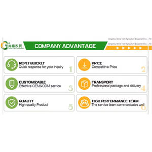 Petite <span class=keywords><strong>serre</strong></span> solaire passive pour la saison hivernale, en polyéthylène, trois parois en terre - Product Image 6