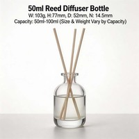 Diffuseur de parfum d'intérieur en verre à bâtonnets, sans flamme, à longue durée, pour huiles essentielles d'aromathérapie