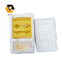 Mini boîte d'accouplement en mousse pour reine des abeilles, plastique polystyrène, pollinisation, ruche, reine d'élevage, boîte d'élevage, autres équipements d'élevage