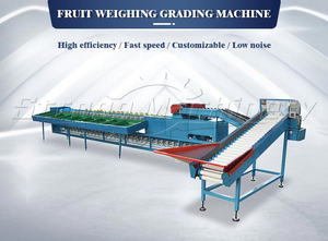 Machine de classement automatique de fruits et légumes pour usine de transformation de fruits SUS 304 matériel multifonctionnel prix de vente bon marché - Product Image 5