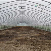 Serre tunnel agricole à simple travée en film PE/PO pour l'agriculture verticale et les systèmes hydroponiques