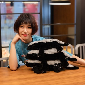 Nuevo Peluche de Algodón, Peluche de Mapache Kawaii, Peluche de Animales de Peluche para Niños - Product Image 2