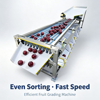 Sorteermachine voor blauwe bessen, fruit en groenten, geschikt voor aardappelen, aardbeien, tomaten, appels, mango's en meloenen, met maatselectie en eenvoudige bediening.