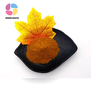 Gıda sınıfı yüksek kaliteli Guarana tohum özü tozu bitkisel özü resververl ile 1kg Minimum sipariş davul içinde paketlenmiş - Product Image 1
