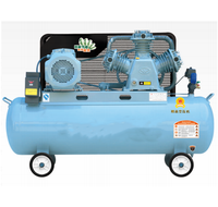 Compresseur d'air à piston 300L/230L/180L/90L/70L/40L Compresseur industriel Compresseur d'air portable Prix