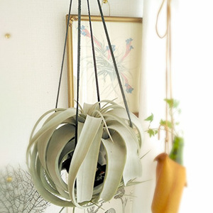Creative PU leather hanging planter stand, modern minimalist succulent and potted <b>plant</b> <b>basket</b>, suitable <b>for</b> indoor and outdoor - Product Image 2