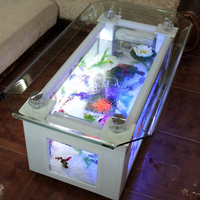 Table basse en verre, métal et plexiglas avec aquarium intégré pour salon