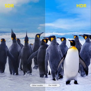 Mới đến X96 Max TV Box nhà máy 2025 Amlogic s905x3 Mini Quad Core media player 4K UHD Android 11 Hot Set Top Box - Product Image 6