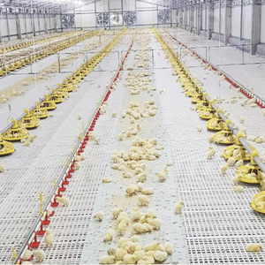 نظام تغذية آلي للمزارع، نظام تغذية خطي للماشية والدواجن، نظام تغذية آلي للدجاج والطيور الداجنة - Product Image 2