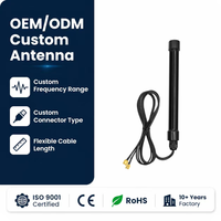 Antenne 4G LTE extérieure 700-2700 MHz N-Male 12dBi à gain élevé omnidirectionnelle en fibre de verre pour amplificateur de signal, prise en charge OEM personnalisée