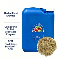 Enzyme de graines de fenouil de qualité alimentaire, matière première liquide, fût de 25 kg, extrait fermenté de Foeniculum Vulgare en vrac