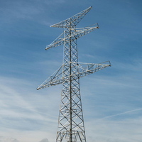 Tour en acier galvanisé à chaud de 10 à 60 m de haut, de haute qualité, pour projets de lignes de transmission électrique 110 kV et 220 kV