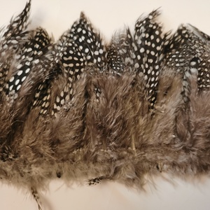 Venta al por mayor 3-5 "Natural Strung <span class=keywords><strong>Guinea</strong></span> Fowl plumas manchadas para atado de moscas pesca DIY manualidades decoraciones para el hogar - Product Image 5