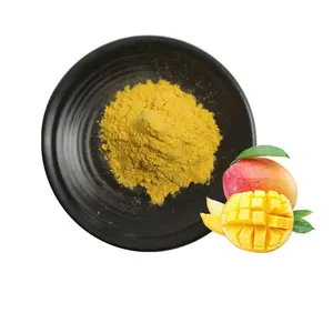 Extrait de graine de mangue africaine en poudre, certifié ISO, fournisseur chinois, extrait de graine Irvingia Gabonensis