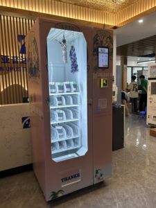 Nhà máy cung cấp giá rẻ Mimi vẻ đẹp máy bán hàng tự động màn hình cảm ứng/mỹ phẩm/Tóc/lông mi/nhỏ Máy bán hàng tự động - Product Image 4