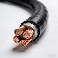 Kabel Daya Purorigin Harga Terjangkau Tembaga 10mm-240mm XLPE 4 Inti Berpelindung Baja dengan Selubung Karet Tegangan Tinggi untuk Konstruksi