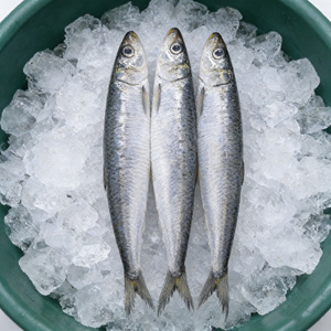 Sardinas Congeladas al por Mayor, Sardinas Congeladas a Granel, <span class=keywords><strong>Precio</strong></span> por Tonelada de Pescado Congelado 6-8 - Product Image 1