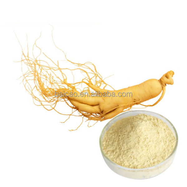 Pure Wholesale Herbal Plant Extract Powder Dried Ginseng Root Extract Powder for Health Product and Supplement