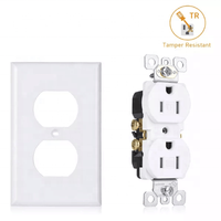 Stopkontak Dinding Luar Ruangan Anti Lonjakan Ganda IP44 Standar Amerika, PVC, Tipe US, untuk Hunian/Umum, 15A