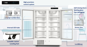 2-8 ℃   Réfrigérateurs biomédicaux à double porte de 1006 litres, réfrigérateur de pharmacie, usage médical - Product Image 6
