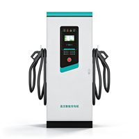 Chargeur rapide DC de 60 kW à 160 kW, station de recharge pour véhicules électriques à double connecteur, écran tactile, sur pied, pour utilisation en flotte routière
