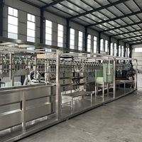 Rendement élevé d'équipement d'abattage de l'usine 300-1000BPH de transformation de lapin et de poulet à petite échelle de 2025 Offre Spéciale