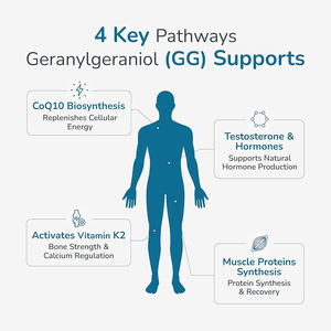 Trans-Geranilgeraniol de marca privada de alta calidad, en cápsulas blandas, que apoya el fortalecimiento muscular y mejora la inmunidad. - Product Image 4