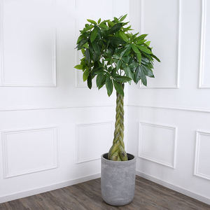 Albero della Fortuna <span class=keywords><strong>Pachira</strong></span> Artificiale Decorativo Personalizzato all'Ingrosso - Product Image 4