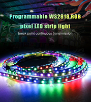 Bande LED programmable 12V 24V Pixel WS2818 60Leds 84Leds 96Leds Multicolore 5050 Adressable RGB WWA CCT Réglable