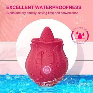 Vibrateur rechargeable en forme d'œuf vibrant pour stimulation du clitoris, du point G, du vagin, des seins et des mamelons, jouet sexuel. - Product Image 2